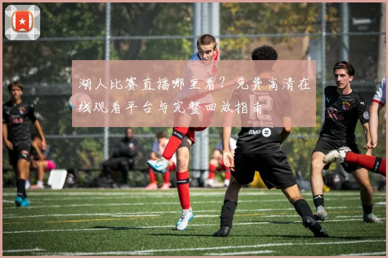 湖人比赛直播哪里看？免费高清在线观看平台与完整回放指南